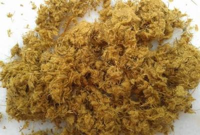 竹漿雜細(xì)胞含量對(duì)打漿過程纖維形態(tài)的影響