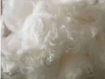 什么是溶解漿？