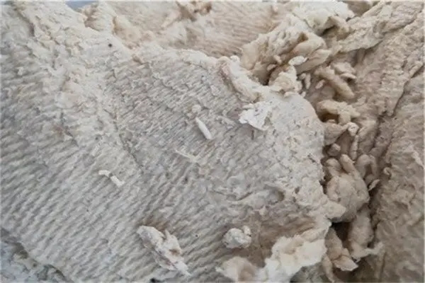 什么是紙漿？未來發展前景如何？