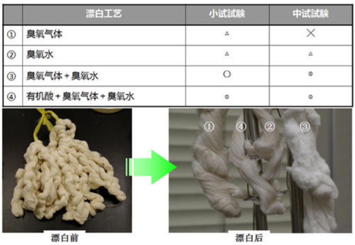 科技創新|我國紙漿臭氧漂白及短程序漂白關鍵技術